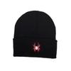 Spider Animal Inspired Embroidered Knit Hat For And Street Fashion Enthusiasts