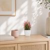 Simulated Small Potted Plants Maintenance-free Pink Faux Flowers With Pots 1 Pc