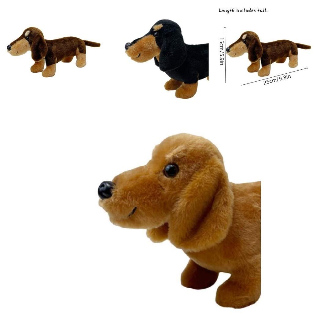 Schattig Pluche Teckel Hond Speelgoed Voor Kinderen En Volwassenen Perfect Cadeau Voor Elke Gelegenheid!" Karakters)