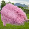 10Pcslot Natural Rouge Pink Ostrich Feathers for Crafts Wedding Party Plumes Decoration Accessories Table Centerpiece Carnival