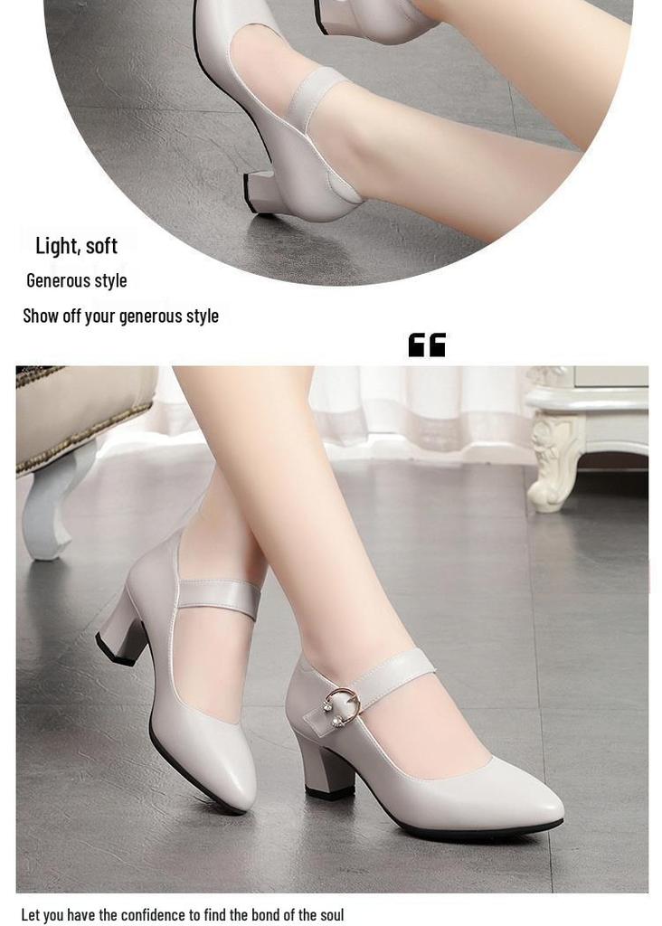 Women's Soft Sole Chunky Heel, Round Toe Leather Shoes - Spring/Autumn 2026, Single Buckle, Medium Heel