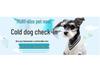 Portable Plastic Pet Carrier for Small/Medium Pets - Detachable Airline-Approved Transport Box