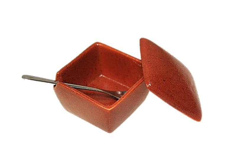 Set of 10 Danjuro Red Brown Square Condiment Containers Made In Japan Ceramic Stainless Steel Spoon Included Commercial Use Ichimi Salt Sansho