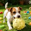Squeaky Dog Ball Raised Texture Dog Chew Toy Bite-Resistant Puppy Teething Toy for Dogs Teeth Cleaning Boredom Relief