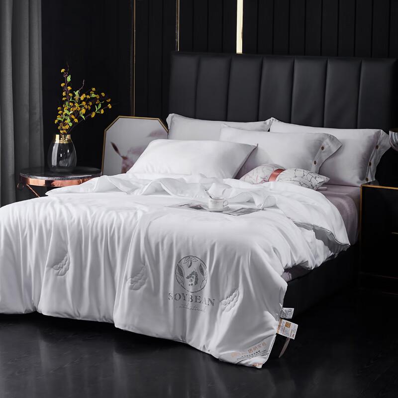 

Tangna Home Soy Protein Summer Quilt