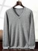 Men's Versatile Cashmere V-Neck Sweater: New Autumn/Winter Long-Sleeve Knitwear 2025