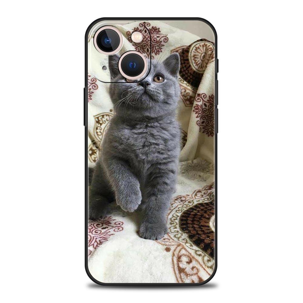 Healing Cute Cat Collection Phone Case for iPhone 17 16 15 14 13 12 11 Series Pro Max Plus Double Layer Protection