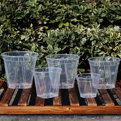 Breathable Flowerpot Transparent PP Blueberry Planter Pot for Phalaenopsis Hydroponics Hot Plants Self-Watering Aerating Plant Pot for Home Garden