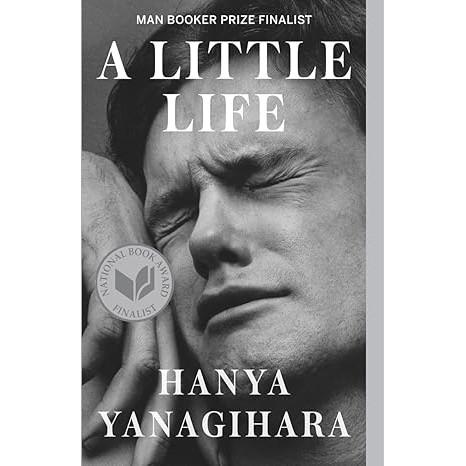 A Little Life Paperback UKN3351