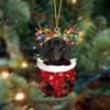 Acrylic Stylish Dog Bag Car Decoration Colorful Cartoon Christmas Home Hanging Charm