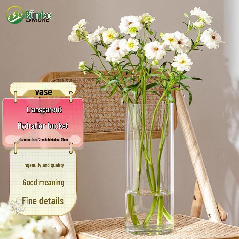 

Roomco Anti-Fall Transparent Acrylic Flower Vase