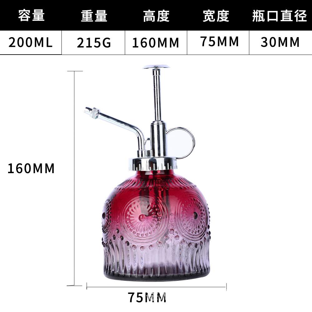 European Colorful Embossed Glass Watering Can Home Gardening Watering Sprinkler Kettle Succulent Plant Spray Can Gardening Decor