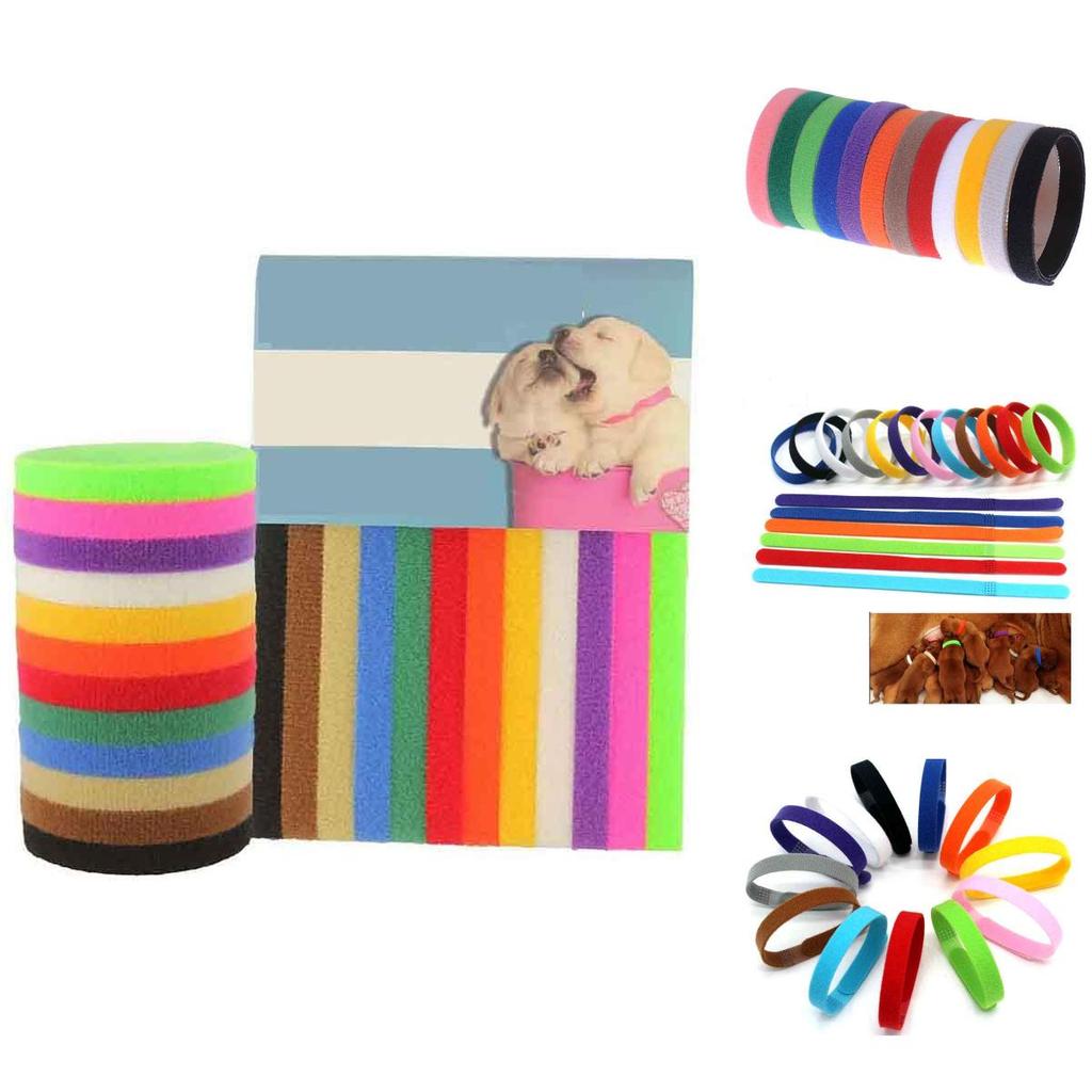 Id 12pcs Adjustable Collars Velcro Whelping Bands Puppy Kitten Newborn Tags Pet