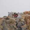 Personalized Fashion S925 Sterling Silver Natural Colored Treasure Garnet Topaz Ring Women'S Brushed Effect Open Ring