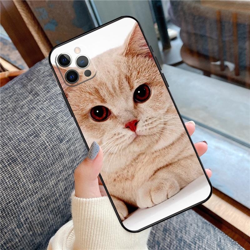 British Shorthair Cat Phone Case For iPhone 16 15 14 13 11 12 Pro Max 12 13 mini XR 15 16 Plus 16e Cover Shell