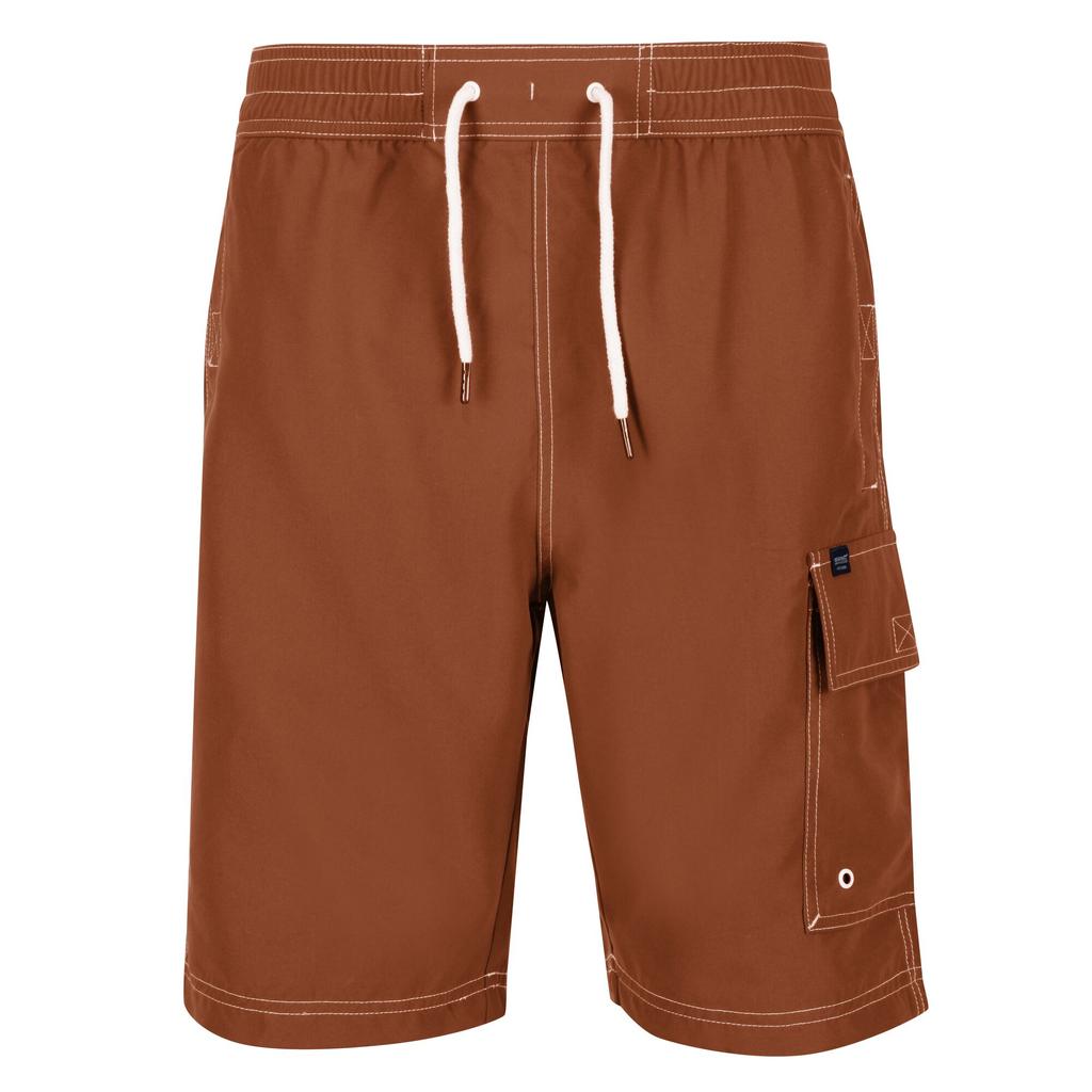 Regatta Mens Hotham IV Swim Shorts