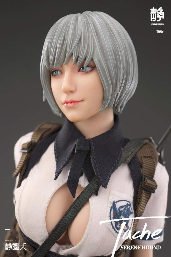 i8TOYS SERENE HOUND Series 501S612 S Tarsh Scale PVC Complete Figure 1/6 Pre-painted