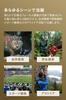 Steiner Wildlife 8x24 Fast Close Wide Field of High for Bird and Nature Observation Binoculars, Nitrogen-Filled, Waterproof, Anti-Fog,
