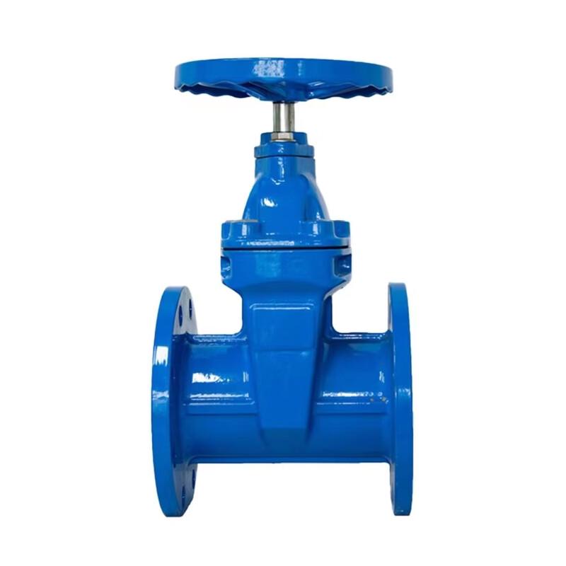 DN65 Manual Non-Rising Stem Flange Soft Seal Gate Valve