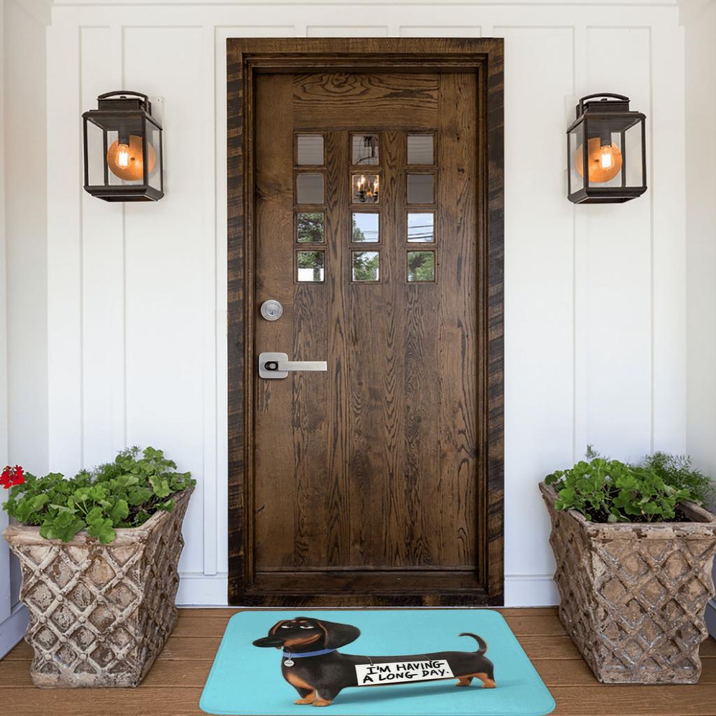 Dachshund Dog Funny Puppy Doormat Non-Slip Kitchen Bath Mat Toilet Floor Door Entrance Carpet Rug
