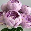 7 Heads Artificial Peony Bouquet Core-spun Simulation Flowers New Fake Flower  Gifts