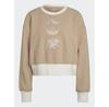 Толстовка adidas Graphic Polar Fleece Sweatshirt