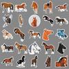 50 Horse Graffiti Stickers Personalized Cartoon Animal Creative Decoration Mobile Phone Case Water Cup Suitcase Stickers