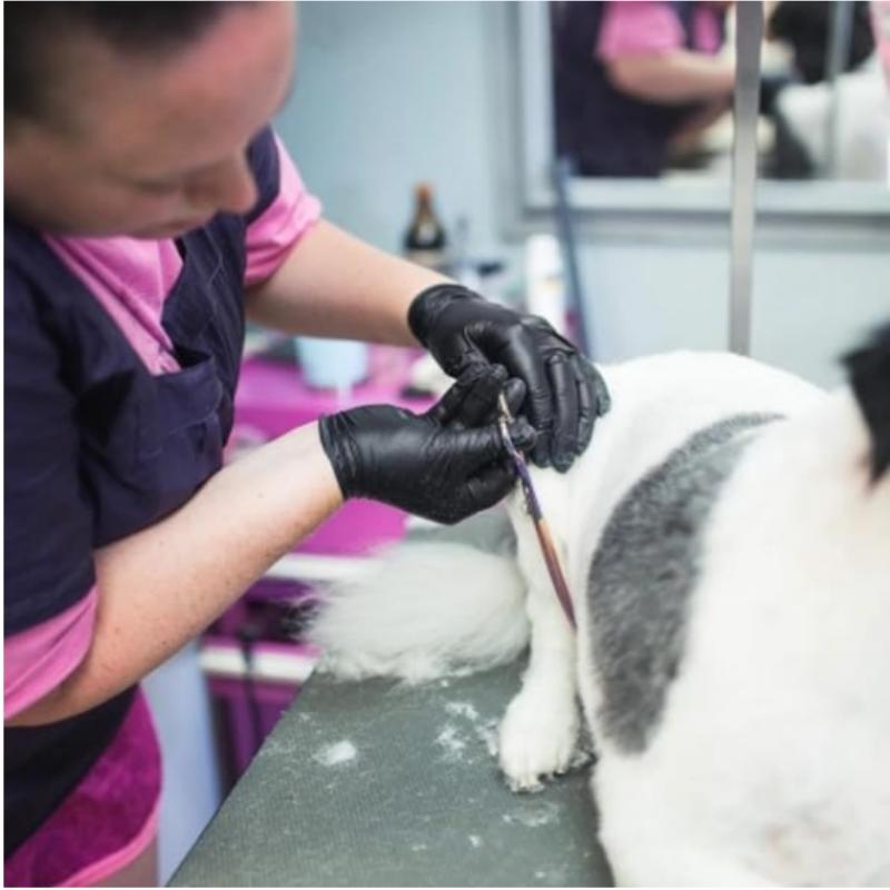 20/100PCS Black Nitrile Gloves Disposable Hair Grooming Gloves for Pet Care Household Cleaning Kitchen Beauty Nail Powder Free