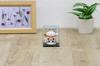 Castle Enterprises Mini Gesturing Cat Set of Bulk a Delightful Japanese Souvenir for Comes in a Clear Case Maneki-neko [Maul] (White) Solar-Powered,