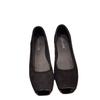 Flat-soled Single Shoes Women's Shoes 2025 New Spring, Autumn and Winter One-pedal Shoes