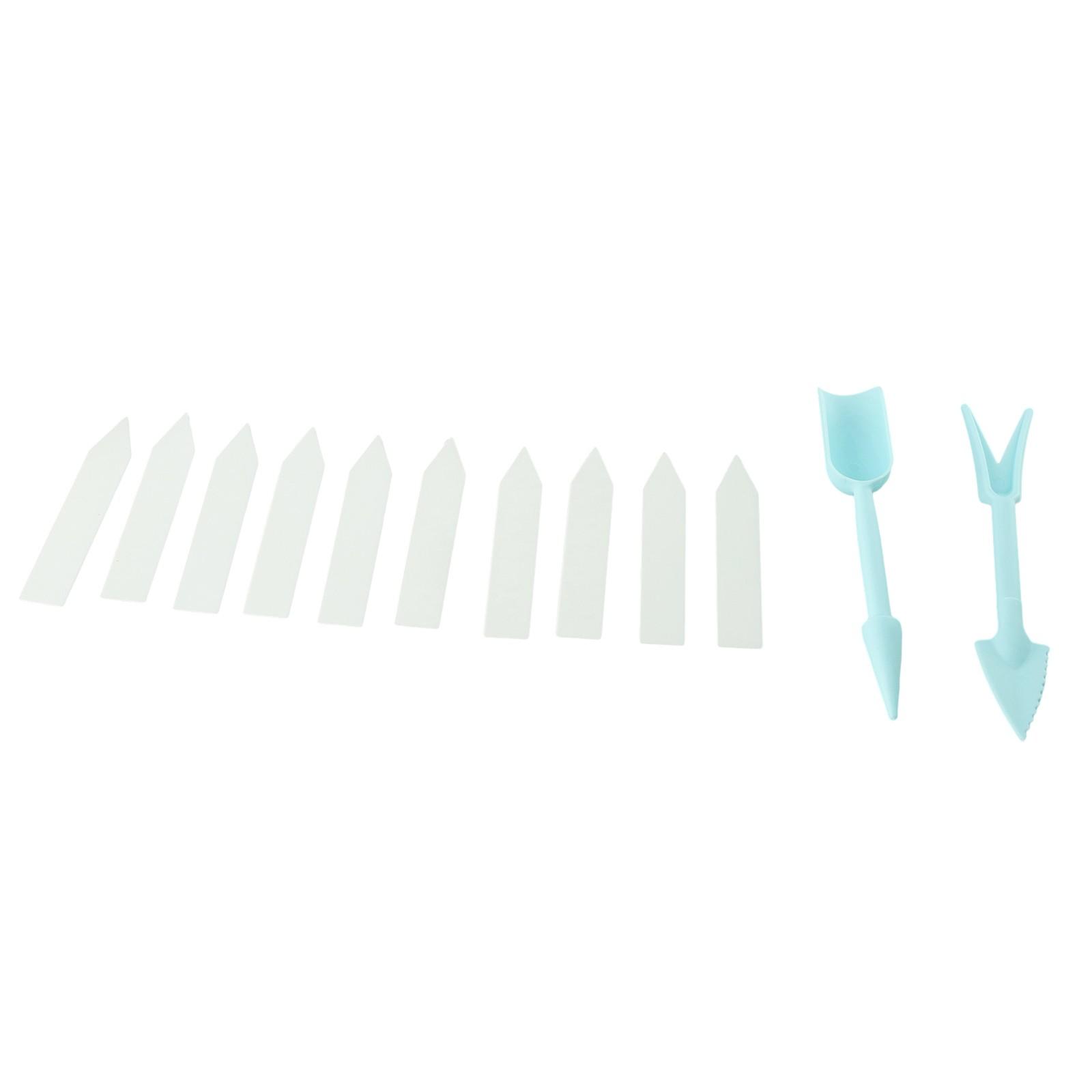 

Горшки для рассады для рассады Отделения Баклажановая ферма