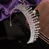 Luxury Bridal Tiara and Crown Hair Accessories for Party Prom Festival Banquet Feast Anniversary Birthday Gift for Women BC6435