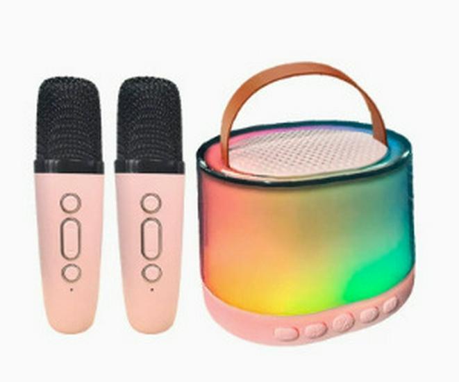Best-Selling Portable Outdoor Bluetooth Speaker with Dual Microphones for Family Karaoke