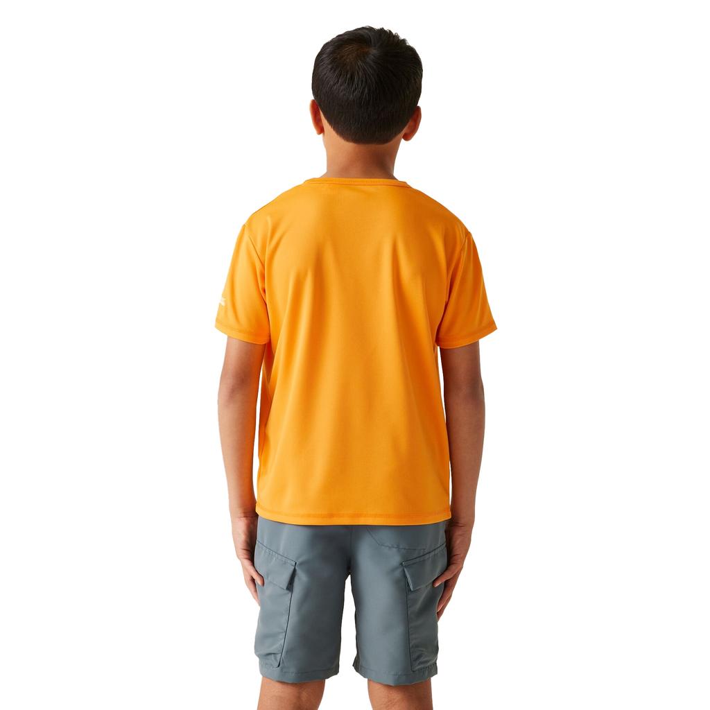 Regatta Childrens/Kids Alvarado IX Cycling T-Shirt