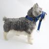 Dog Head Halter with Safety Strap-Stops Heavy Pulling on The Leash-Padded Headcollar for All Dog Sizes - Head Collar Training