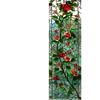 European Style Retro Glass Partition Wall Imitation Color Painting Art Film Translucent Opaque Paper Window Film Stained Glass