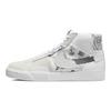 Nike Zoom Blazer Mid Premium Sb 'Paisley Pack Floral' Sneakers Casual DM0859-100