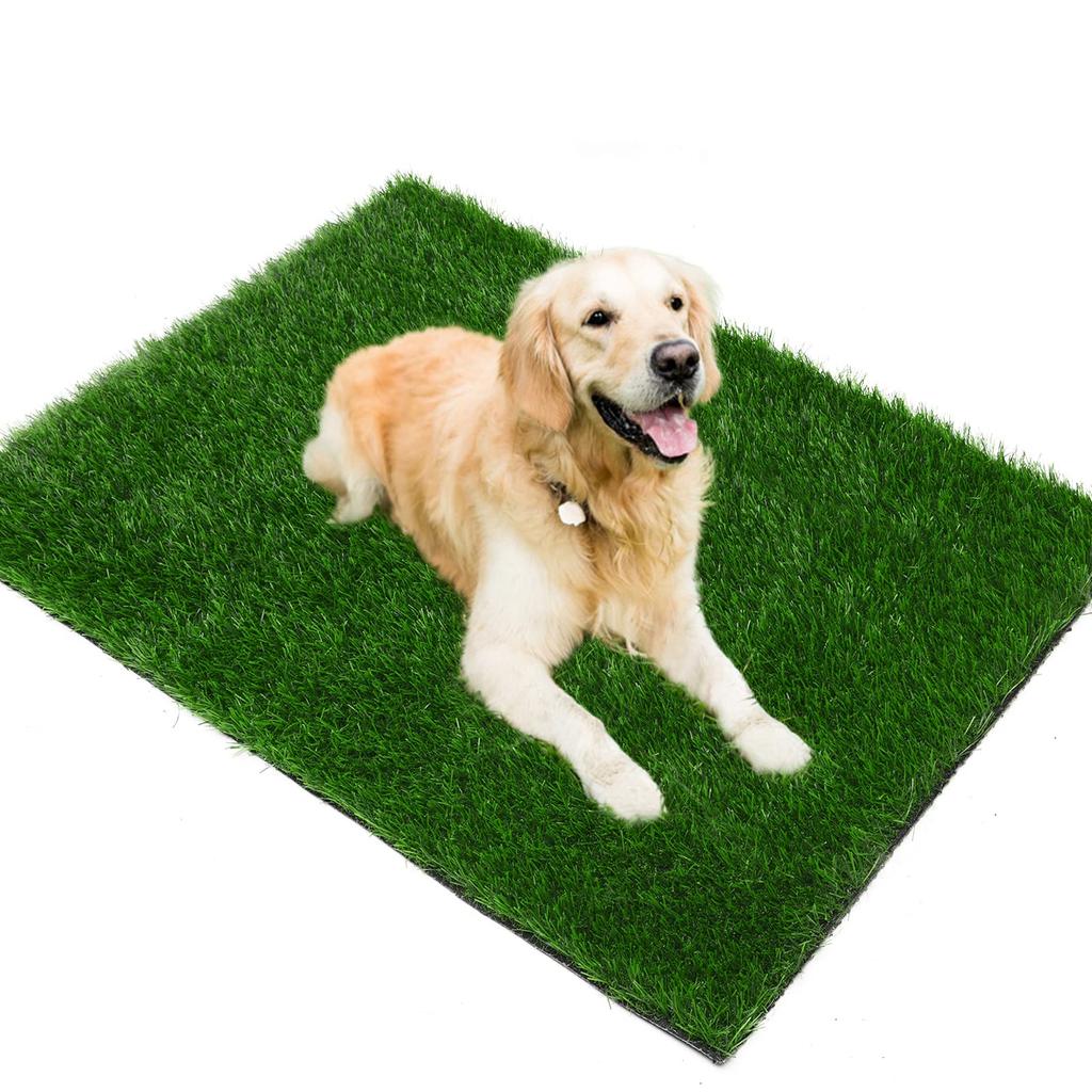 PICK FOR LIFE Dog Grass Pad X Inch Strong Absorbent Soft Real Grass Pet Potty Training Easy To Clean Artificial Grass for Dogs Indoor and Outdoor 39.4