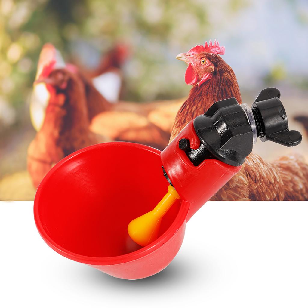 5PCS Chicken Bird Automatic Drinkers Water Drinking Cups Bowls (Fixed Screw Water Bowl)