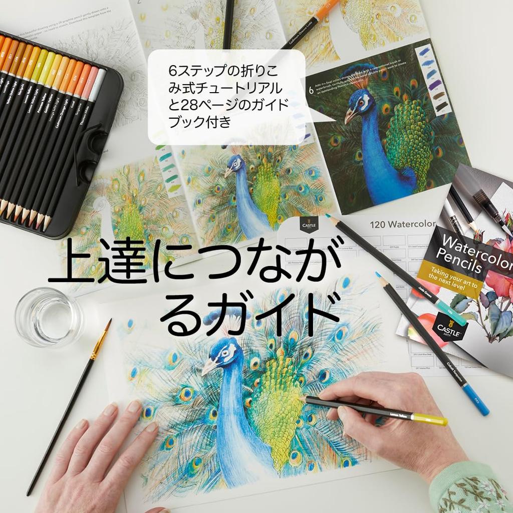 Castle Art Überraschungs-Aquarellstift-Set Lebendige Pigmente Gleichzeitig Zeichnen und Malen Für Erwachsene Künstler und Profis Schutzblechdose für