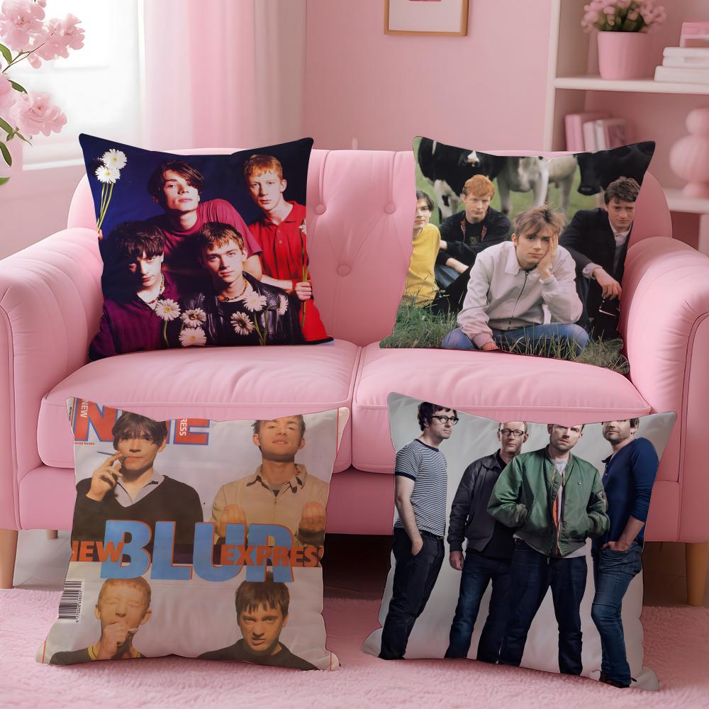 B-Blur Cushion Cover Pillow Case Soft Friendly Fabric & Concealed Zipper