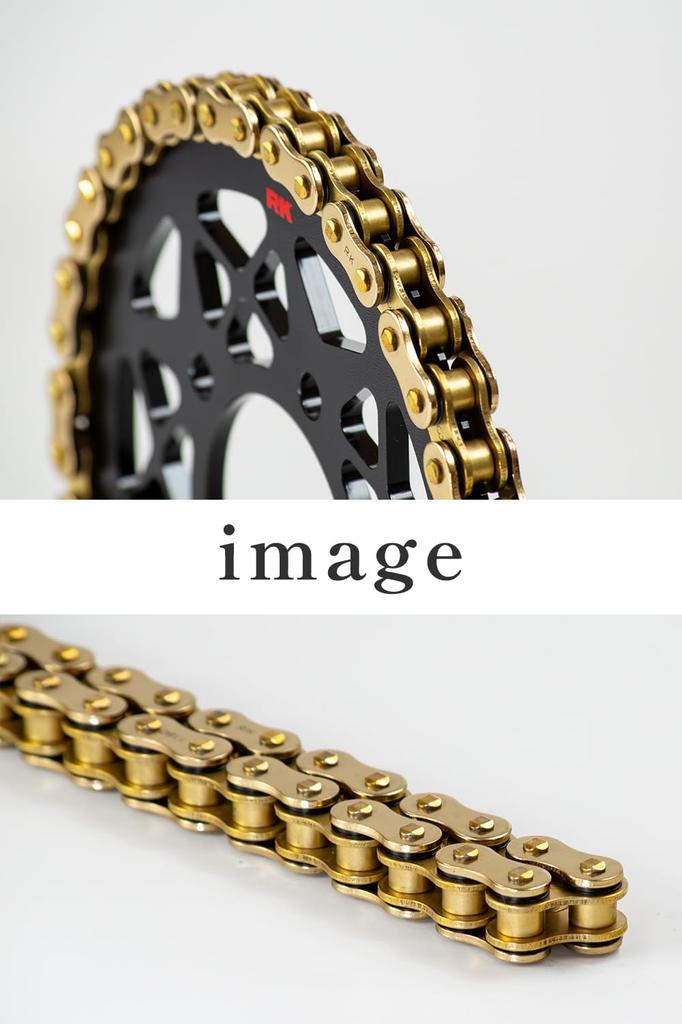 RK GV420MRU 100L Chain