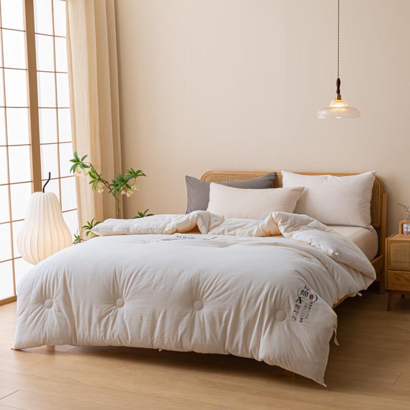 Jeliya All-Season Soybean Protein Blended Quilt