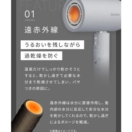 SALONIA Air Treatment Dryer Large Air Volume Quick Drying Lightweight Hair Dryer Stone Gray [.co.jp Exclusive]