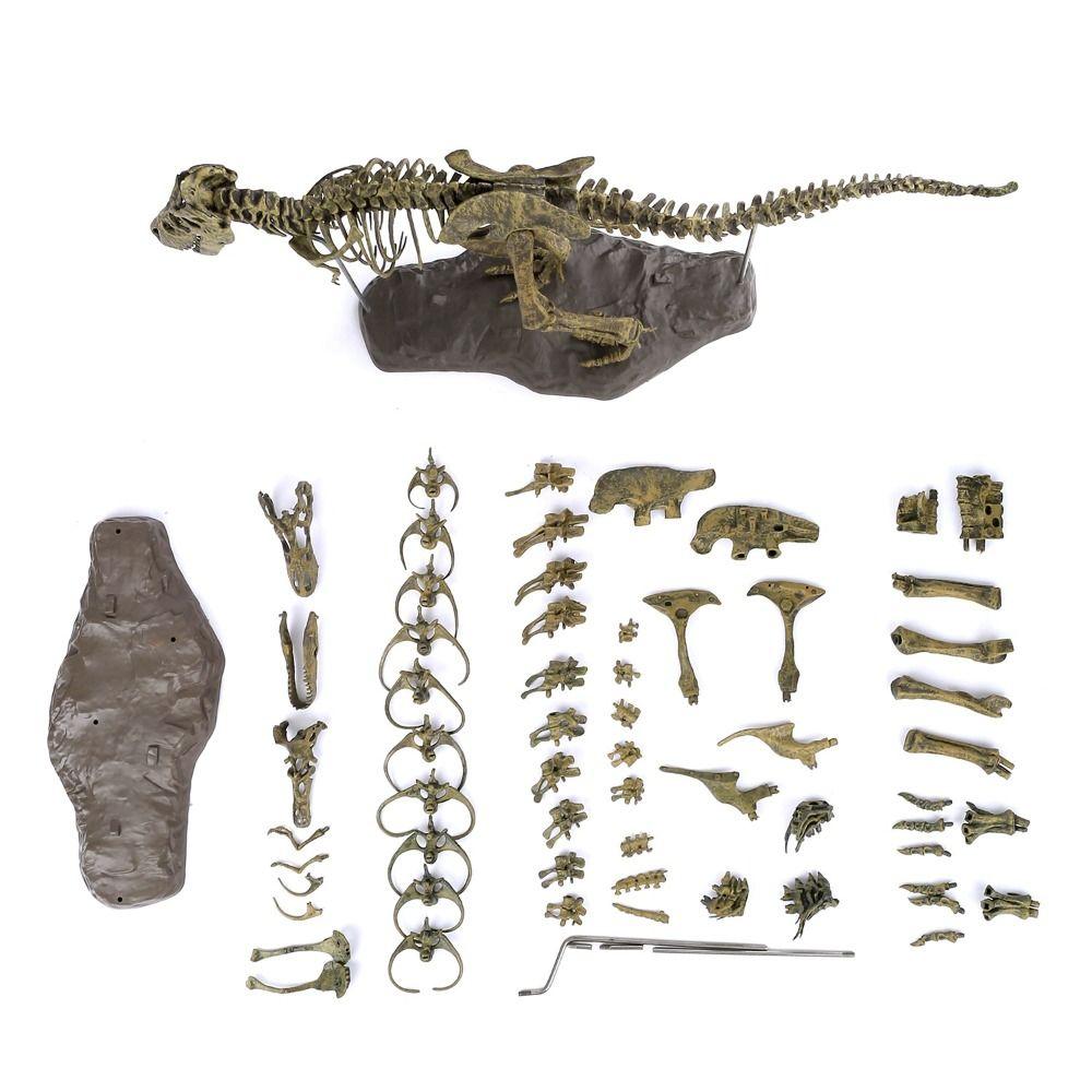 Tyrannosaurus Rex DIY Dinosaur Skeleton Toys Animal Figurines Dinosaur Model DIY  Children Gift