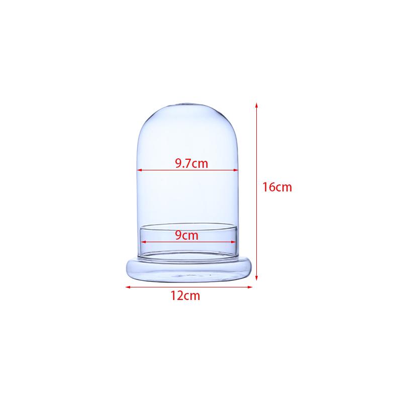 Multi-sizes Glass Dome Vase With Airhole Glass Cloche Bell Jar Tabletop Display Clear Terrarium Container for Plant, Terrarium