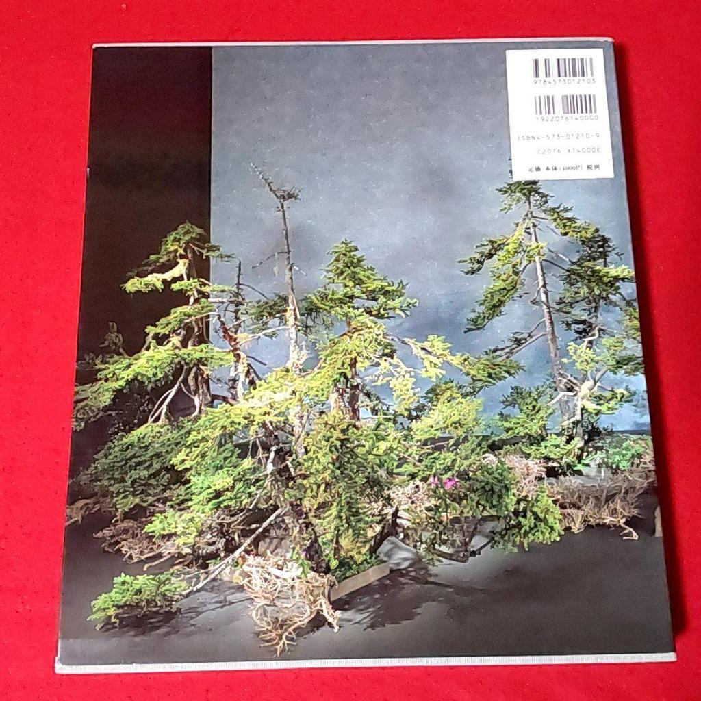 [USED] Kazuhiko Kudo's Works Collection, Maoka, Ohara School, Ikebana Works Collection, Fresh Flowers, Ikebana