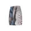 Jordan Casual Shorts Men's Multicolor Moderate DM1393-010