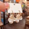 Zircon Flower Pearl Earrings Light Luxury Temperament Earrings Versatile Premium Earrings Women