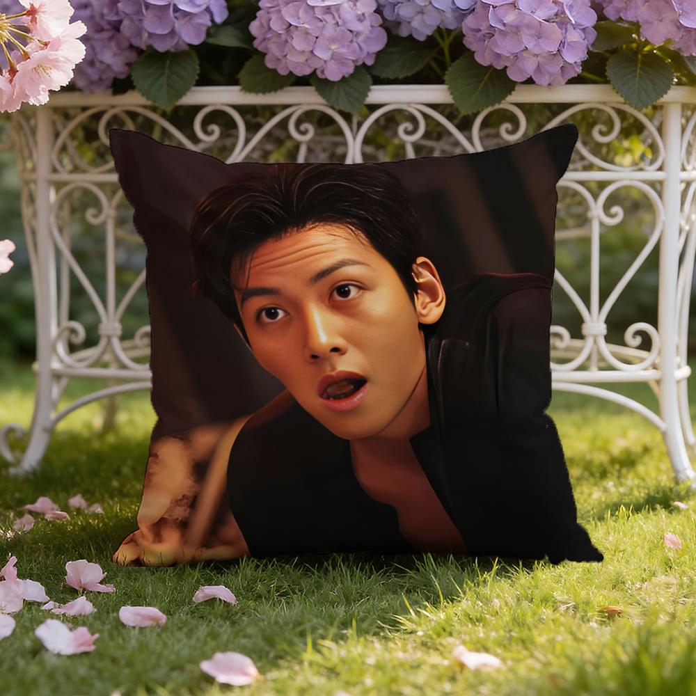 Ji C-Chang W-Wook Cushion Cover Home & Car Dual-Scene Pillow Cover: Reversible for Premium Comfort